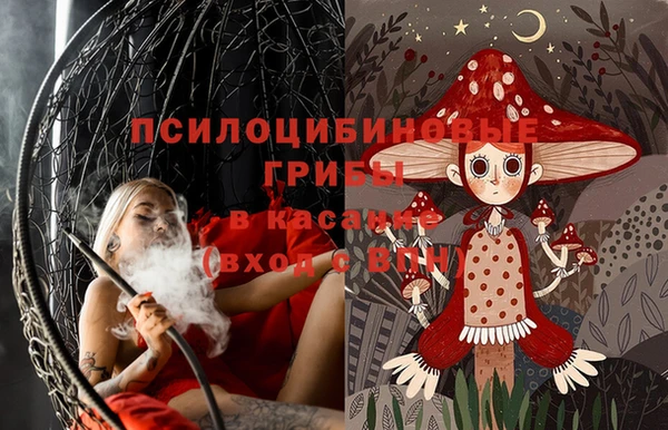 мдпв Новокубанск