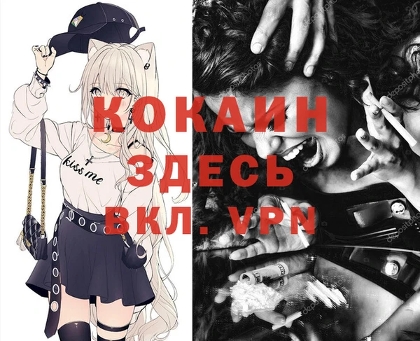 мдпв Новокубанск