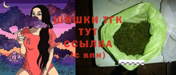 хмурый Новозыбков