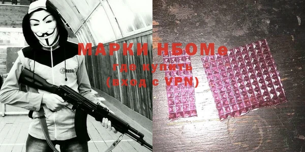 хмурый Новозыбков